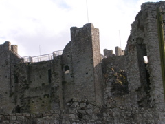 Trim Castle in Trim